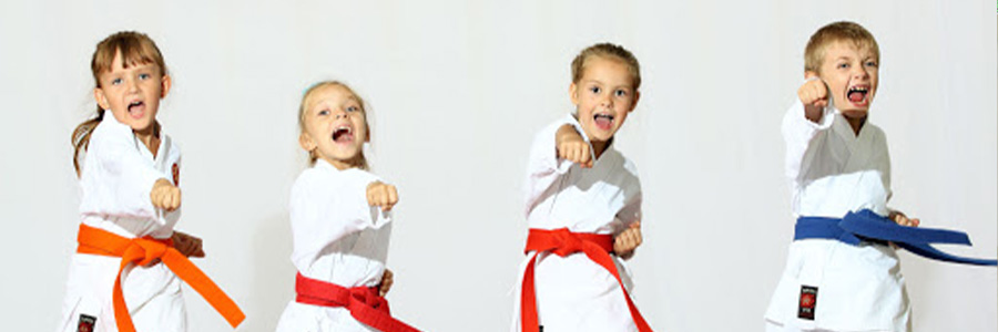Karate ve Tekvando Atölye Eğitimleri